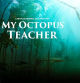 'Lo que el pulpo me enseñó'