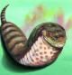 De acuerdo con la leyenda, el tsuchinoko japonés se asemeja a la serpiente, aunque su cuerpo es más ancho, casi como el de una babosa gigante.
