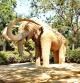 El mamut Júlia expuesto en el parque de la Ciutadella.