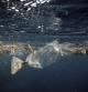 Una bolsa de plástico flota cerca de un arrecife de coral. Los residuos plásticos suponen un grave problema para los ecosistemas marinos.