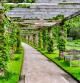 Arco de plantas en los jardines botánicos de Kew,Londres