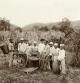 Esclavos fotografiados en una plantación de café de Brasil en torno a 1882.