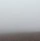 ¿Qué se esconde tras la niebla?