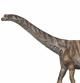 Descubierta una nueva especie de dinosaurio que vivió en los Pirineos