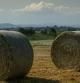 Balas de paja en el campo de Manlleu.