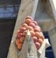 Frutos de la Sagrada Familia.