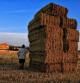 Castillo de balas de paja en un campo de Granollers.