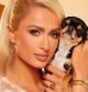 Paris Hilton junto a su perrita