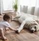 baby girl sitting on floor playing with dog