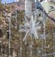 Estrella de Navidad frente a la Casa Batlló.