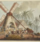 Plantación de azúcar en la colonia británica de Antigua, 1823.