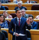 Pedro Sánchez, en el Pleno de control al Gobierno celebrado este martes en el Senado