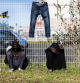 (FILES) Sudanese migrants sit next to a fence at a reception centre for isolated minor migrants run by Doctors Without Borders (MSF) in Calais, northern France on November 7, 2023. In northern France, dozens of minors are living alone in unsanitary camps while waiting to reach Britain. These vulnerable teenagers are being protected by associations. (Photo by Sameer Al-DOUMY / AFP)