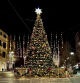 Gran árbol de Navidad en Sabadell.