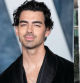 Joe Jonas y Stormi Bree podrían mantener una relación sentimental