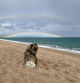 Arco iris doble en la playa.