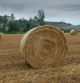 Pacas cilíndricas en un campo de Granollers de la Plana, en Gurb.