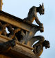 View of gargoyles adorning the Notre-Dame de Paris Cathedral, five-and-a-half years after a fire ravaged the Gothic masterpiece, on the eve of reopening ceremonies in Paris, France, December 6, 2024. REUTERS/Sarah Meyssonnier