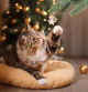 Recetas navideñas irresistibles para consentir a tu gato con lo mejor de la temporada