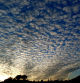 Nubes Altocumulus