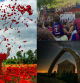 La rúa del Barça, la celebración de la primavera y el arco de Vía Láctea, mejores fotos de mayo.