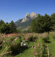 El otoño florecido del Pedraforca.