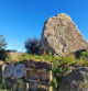 Menhir de la Pedra Alta.