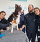 “Cuando una familia te llama para decir que su perro ha sobrevivido, entiendes todo”: el poder silencioso de las donaciones de sangre animal