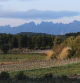 Montserrat desde los alrededores de Sant Sadurní d'Anoia.