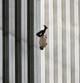 La fotografía titulada 'Falling Man' (hombre cayendo) muestra a una de las víctimas de los atentados del 11 de septiembre en Nueva York.