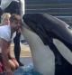 La bonita imagen que Piqué ha colgado en su Twitter con una Orca que le da un beso