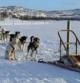 Un trineo de huskies a punto de emprender la marcha por tierras noruegas