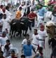 Los toros de la ganadería sevillana de Dolores Aguirre en el segundo encierro de las fiestas de San Fermín en el tramo del Callejón