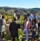 Imagen de la presentación del portal Priorat Enoturisme, en Gratallops