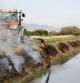 Crema preventiva de vegetació contra el caragol maçana en una de les séquies de l'hemidelta dret de l'Ebre el passat mes d'octubre