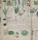El Manuscrito Voynich