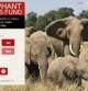 Portada de la web de la Elephant Crisis Fund