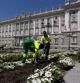 Los trabajos en un parterre situado frente al Palacio Real, donde los nuevos reyes ofrecerán una recepción