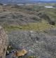 Un puma bebe agua junto a unas rocas en medio de un paisaje de montañas y lagos, en el parque nacional Torres del Paine de la Patagonia chilena