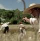Imagen del documental 'Bon cop de falç', que narra la historia de 'Els segadors', himno nacional de Catalunya