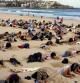 Un grupo de 400 personas esconden la cabeza bajo la arena como metáfora de la actitud del G20 ante los problemas reales del mundo