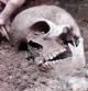 El cráneo del esqueleto encontrado en una tumba de los siglos IV y V