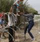Un grupo de refugiados sirios intenta saltar la alambrada de la frontera entre Hungría y Serbia cerca de la localidad húngara de Röszke.