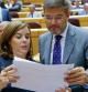 La vicepresidenta del Gobierno, Soraya Sáenz de Santamaría conversa con el ministro de Justicia, Rafael Catalá en el Senado