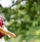 El golfista vasco Jon Rahm, da su primer golpe en el hoyo 4 durante la primera jornada del Travelers Championship, torneo del PGA Tour