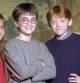 La vida tras 20 años del estreno de 'Harry Potter': así les ha ido a sus protagonistas