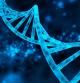 Kits de ADN para todo