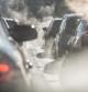 Las emisiones de los coches tienen un efecto muy perjudicial para el medio ambiente