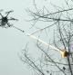 Prueba piloto de dron lanzallamas destruyendo un nido de avispas en China