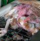 Gallina muerta dentro de una jaula junto a otras gallinas vivas.